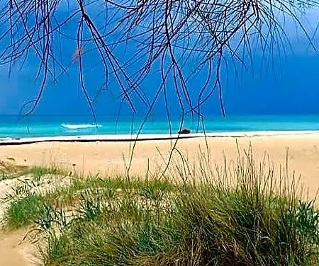 Bed and breakfast Il Sole Del Salento 3*