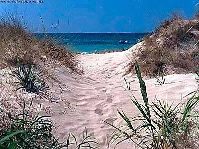 Nocleg ze śniadaniem Il Sole Del Salento 3*